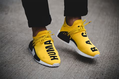 pharrell williams Adidas shoes